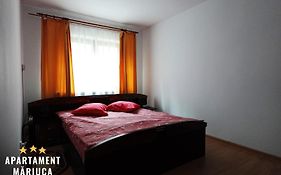 Ioana Apartament