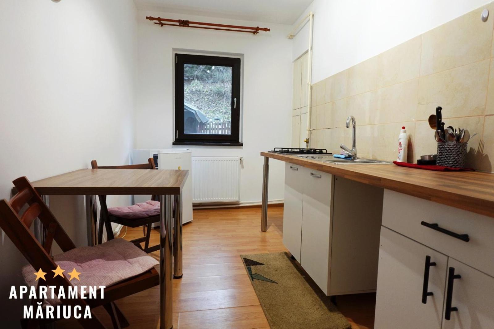 Mariuca Apartament Buşteni Exterior foto